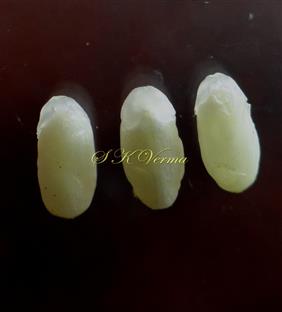  Seeds
